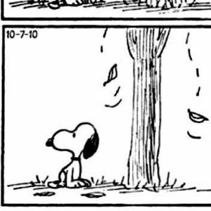 Meet your Posher, Tong